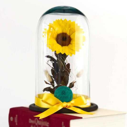 Girasol Eterno mini
