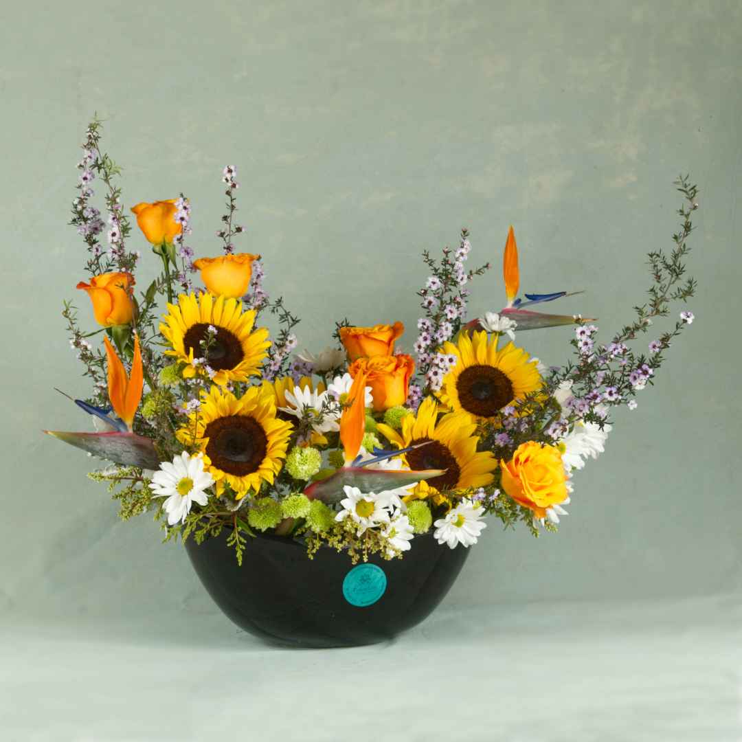 Diseño Sunshine