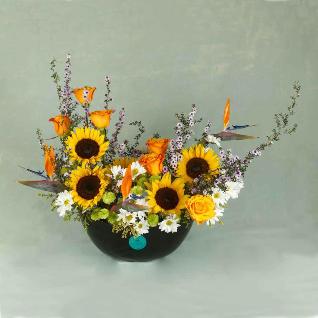 Diseño Sunshine