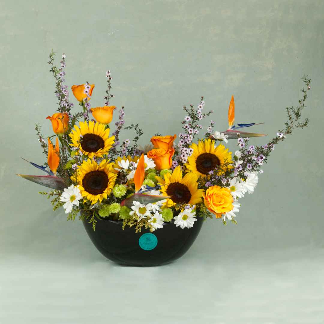 Diseño Sunshine