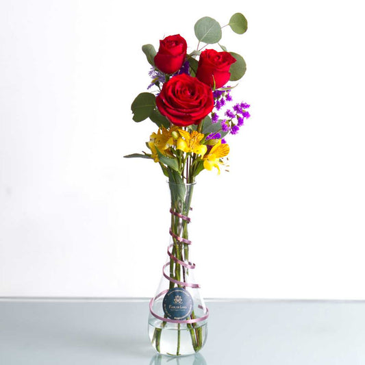 Violetero con rosas