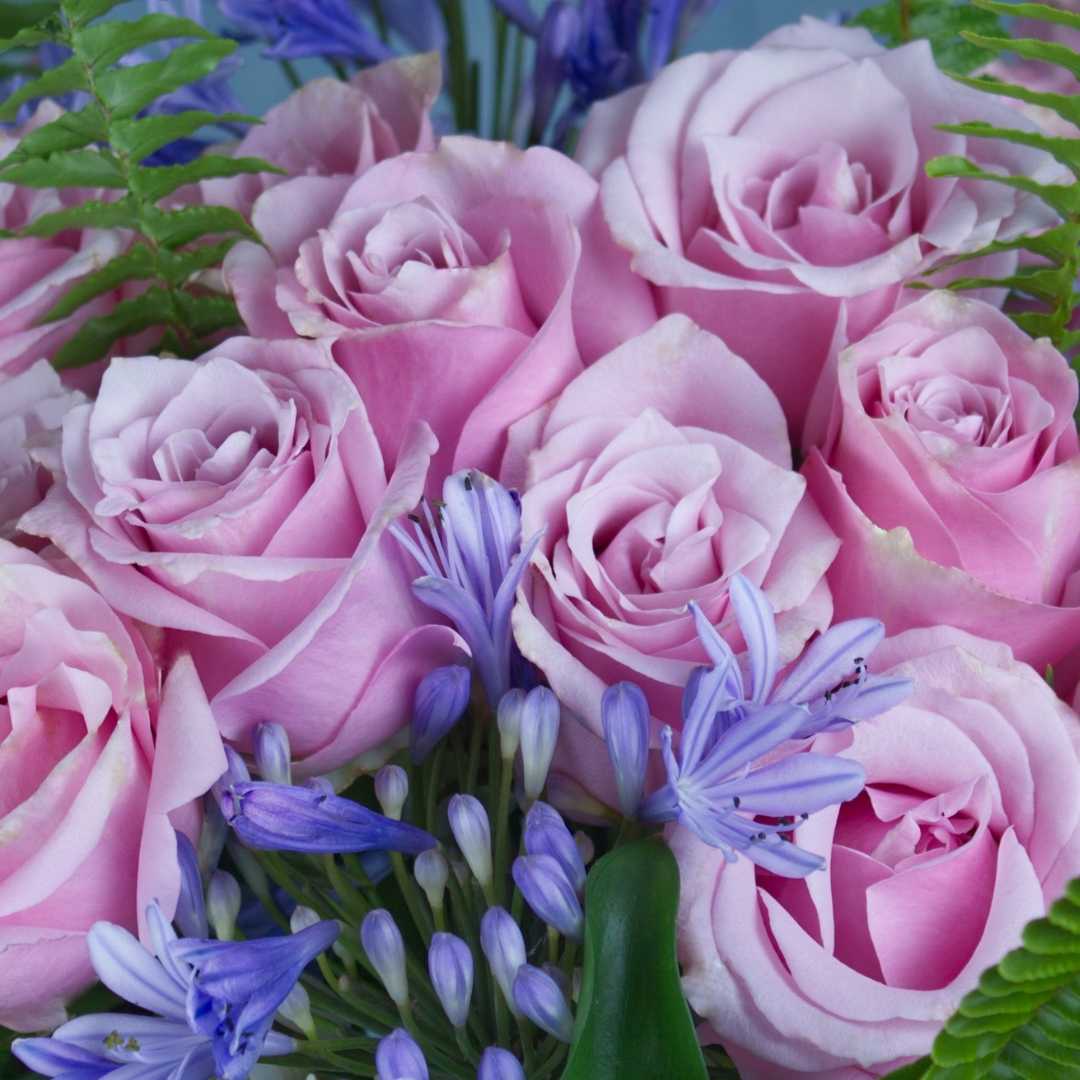 Bouquet de 24 rosas lila "Náutica"