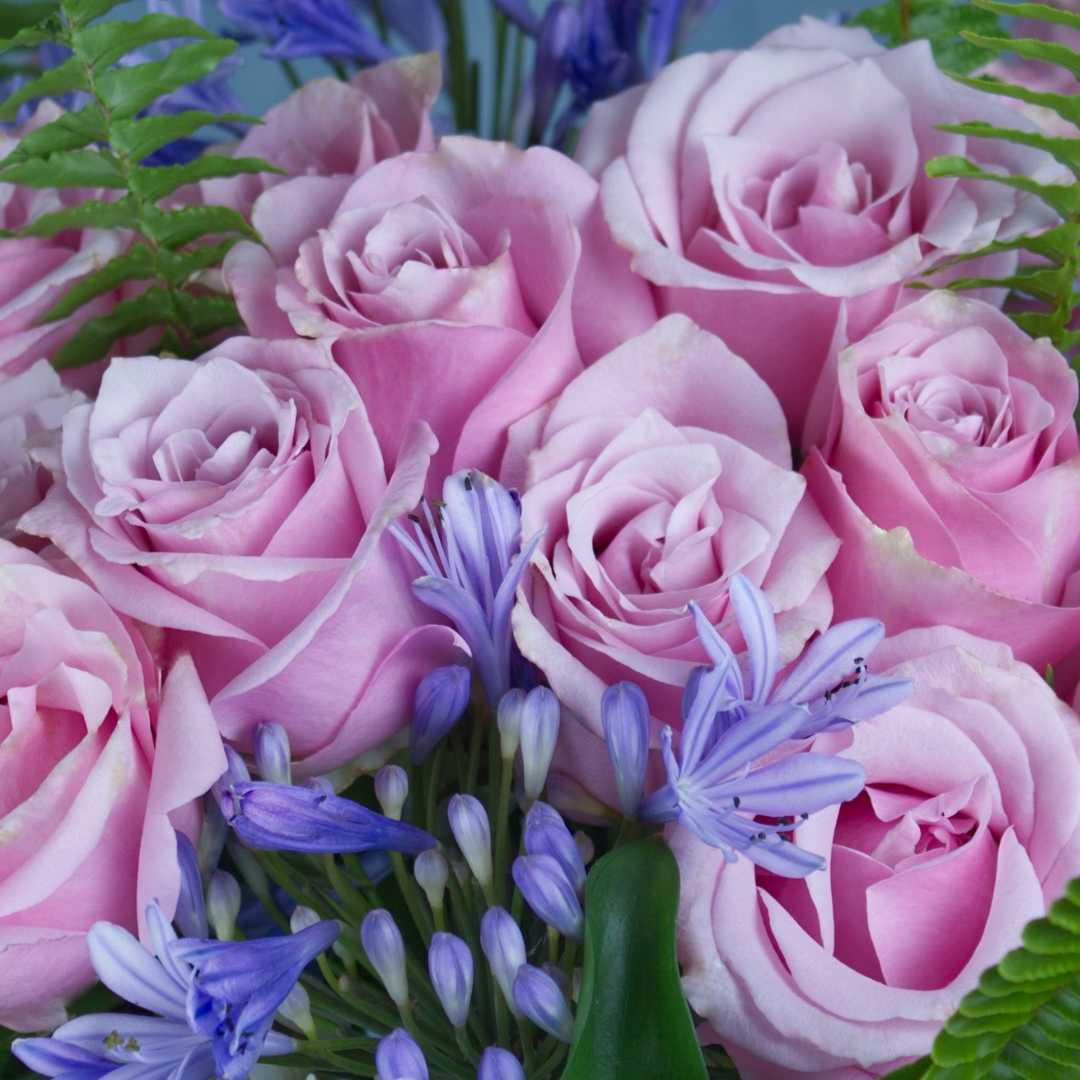 Bouquet "Elizabeth" de rosas náutica